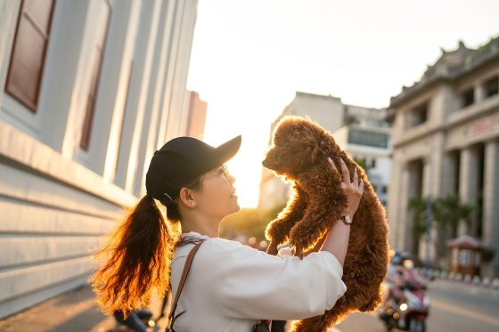 From Takeoff to Landing: Navigating Air Travel with Your Furry Co-Pilot